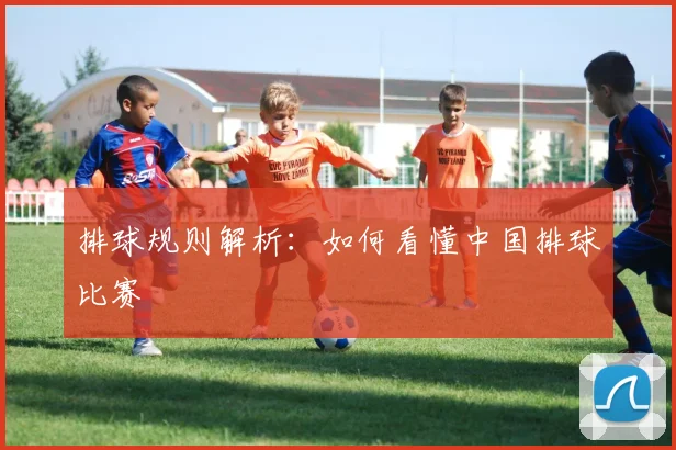 排球规则解析：如何看懂中国排球比赛