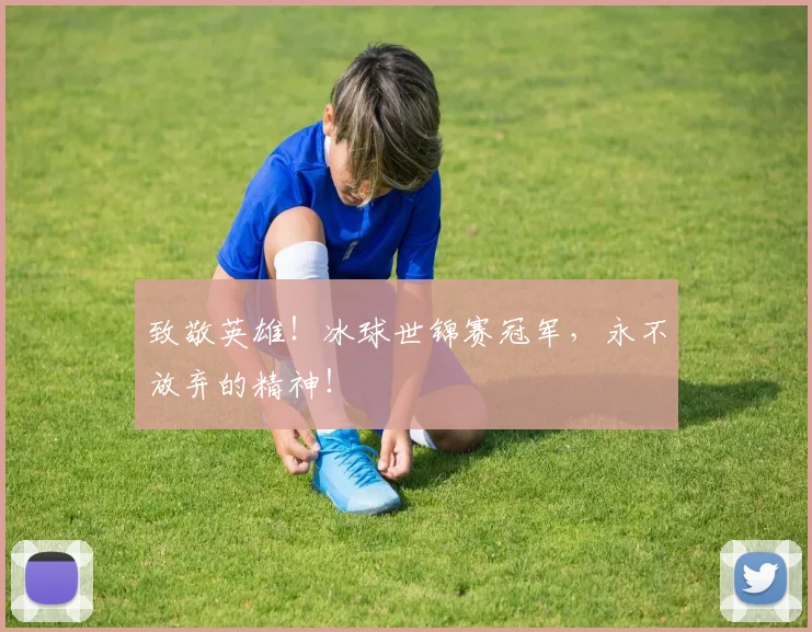 致敬英雄!冰球世锦赛冠军,永不放弃的精神!