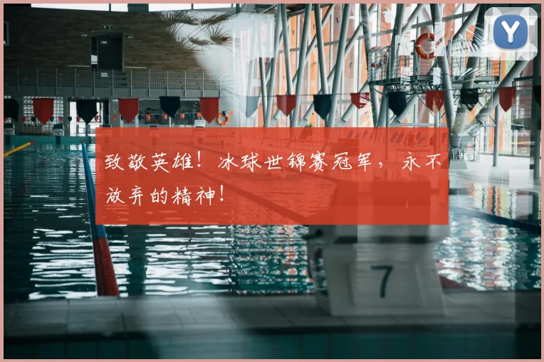 致敬英雄!冰球世锦赛冠军,永不放弃的精神!