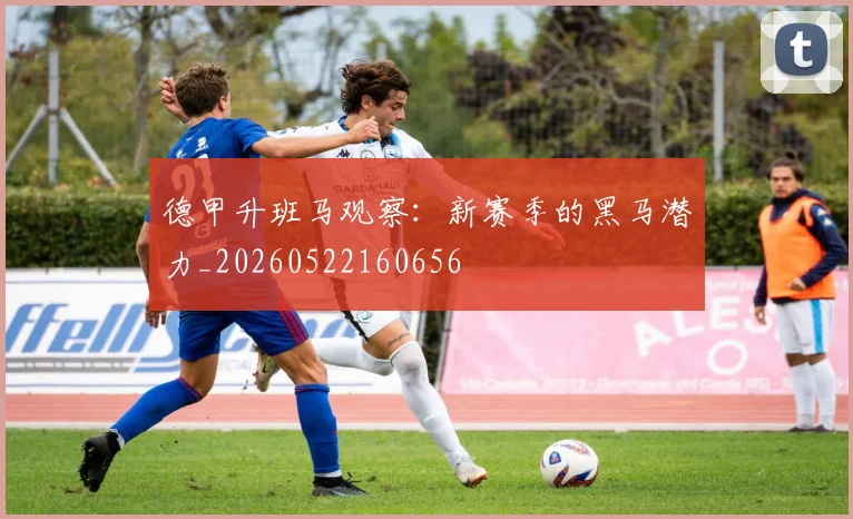 德甲升班马观察：新赛季的黑马潜力_20260522160656