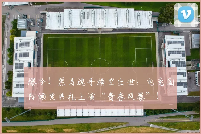 爆冷！黑马选手横空出世，电竞国际颁奖典礼上演“青春风暴”！